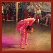 Shanghai Acrobatic Show